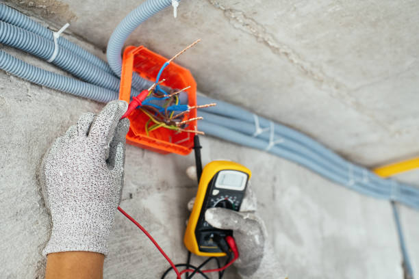 Best Home Electrical Repair  in Iowa Falls, IA